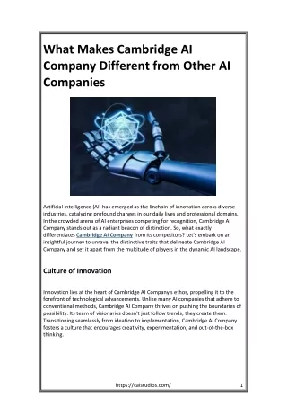 What Makes Cambridge AI CompArtificial Inteany Different from Other AI Companies