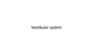 vestibular system