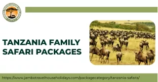 Jambo Travel House Holidays: Tanzania Family Safari Packages