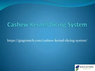 Automatic Cashew Kernel Dicing System, Cashew Nut Dicer