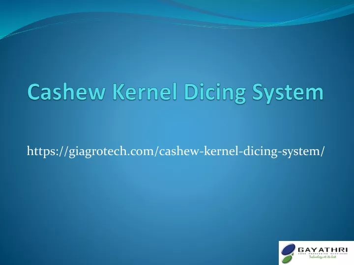 cashew kernel dicing system