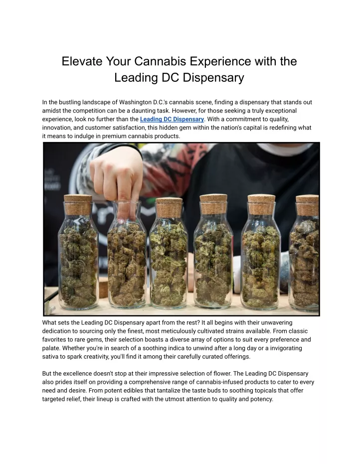 elevate your cannabis experience with the leading