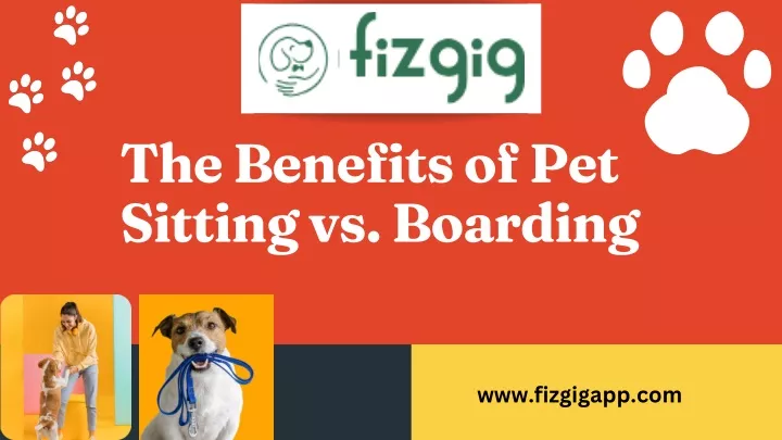 the benefits of pet sitting vs boarding