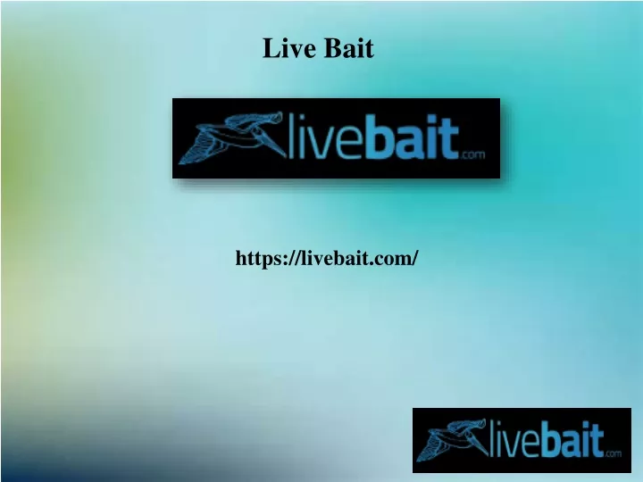 live bait