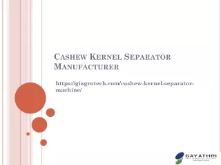 Fully Automatic Cashew Kernel Separator Machine