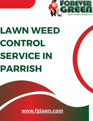 Get Affordable Lawn Weed Control Service In Parrish