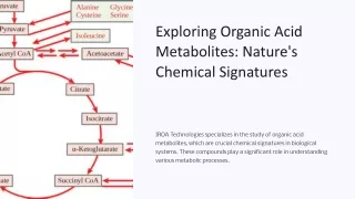 Exploring Organic Acid Metabolites: Nature's Chemical Signatures