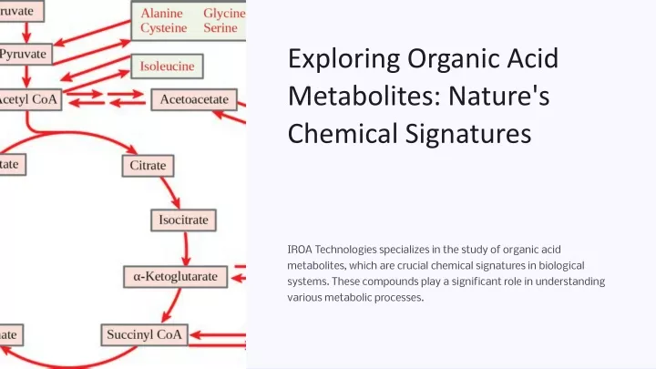 exploring organic acid metabolites nature