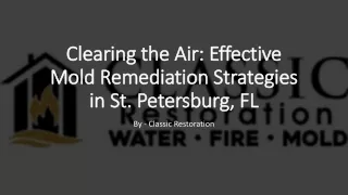 Clearing the Air Effective Mold Remediation Strategies in St. Petersburg, FL​