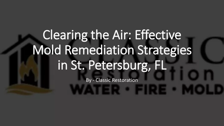 clearing the air effective mold remediation strategies in st petersburg fl
