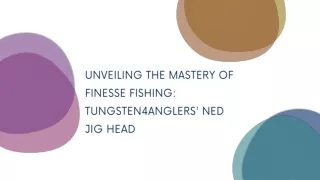 Tungsten Ned Jig Head – Tungsten 4 Anglers
