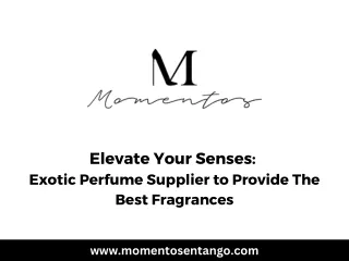 Elevate Your Senses: Exotic Perfume Supplier to Provide The Best Fragrances