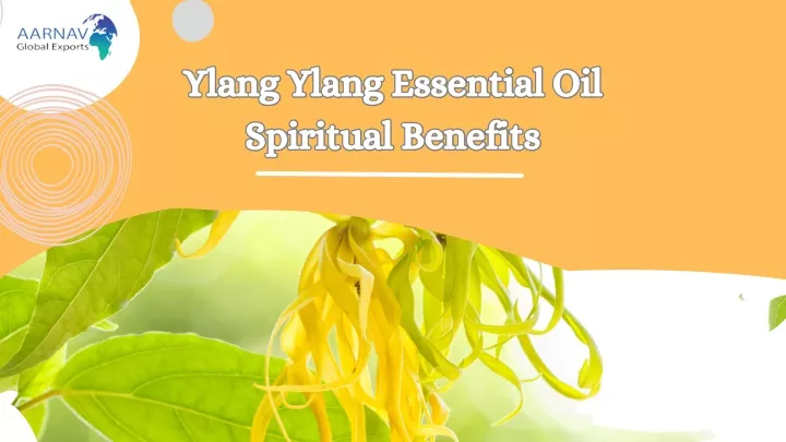 ylang ylang essential oil spiritual benefits