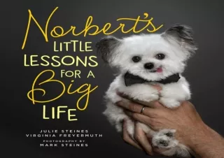 PDF/✔ READ/DOWNLOAD ✔ Norbert's Little Lessons for a Big Life full