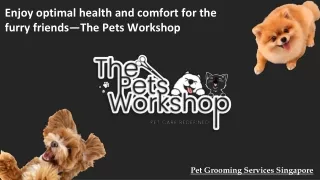 Enjoy optimal health and comfort for the furry friends—The Pets Workshop