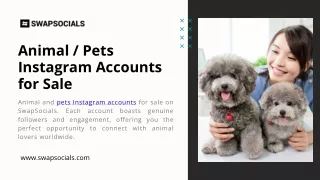 Animal Pets Instagram Accounts for Sale