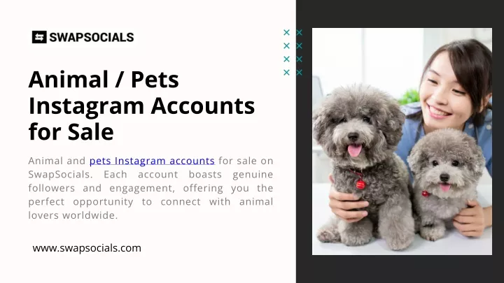 animal pets instagram accounts for sale