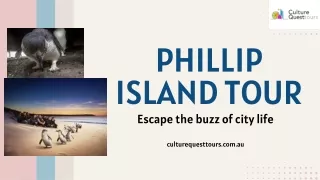 An Awesome Phillip Island Tours - CultureQuesttours