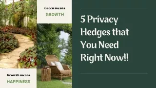 Privacy Powerhouses: 5 Must-Have Hedges for Instant Seclusion