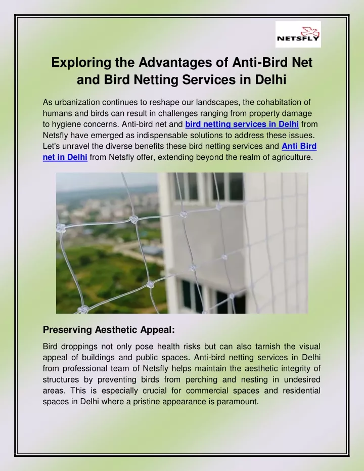 exploring the advantages of anti bird