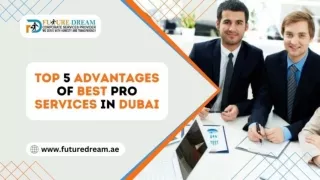 Top 5 Advantages of Best PRO Services in Dubai