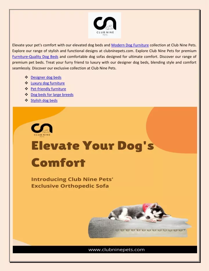 elevate your pet s comfort with our elevated