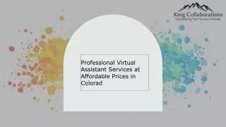 Professional Virtual Assistant Services at Affordable Prices in Colorado