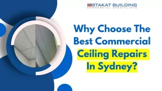 Why Choose The Best Commercial Ceiling Repairs In Sydney  Presentation