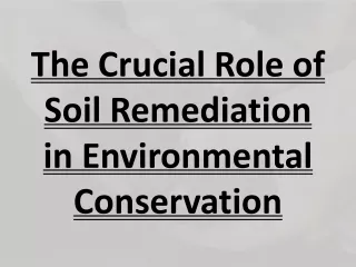 The Crucial Role of Soil Remediation in Environmental Conservation