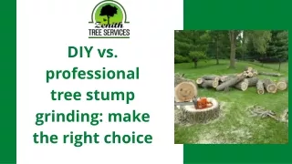 DIY vs. professional tree stump grinding make the right choice Presentation