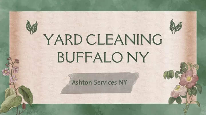 yard cleaning buffalo ny