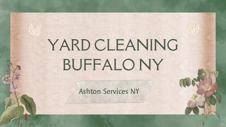 yard cleaning buffalo ny