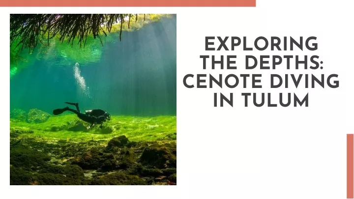 exploring the depths cenote diving in tulum