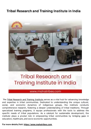 Tribal Research and Training Institute and Best Scenery House Canvas Painting in India (1)