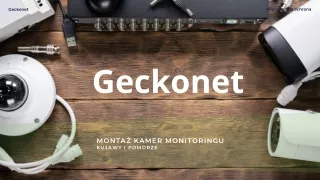 Geckonet - montaż kamer monitoringu