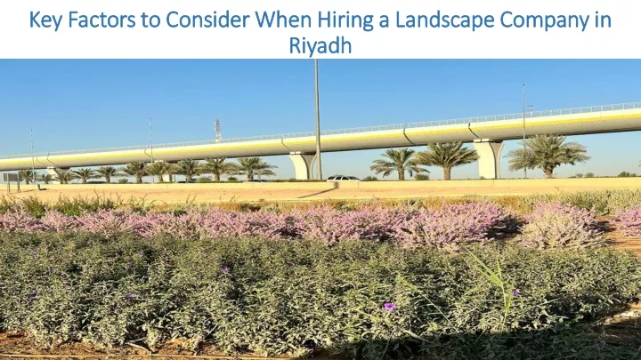 key factors to consider when hiring a landscape