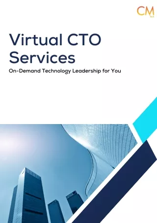 Virtual CTO Services In India