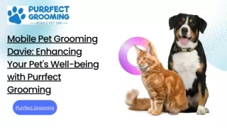 Mobile Pet Grooming Davie: Enhancing Your Pet's Well-being with Purrfect Groomin