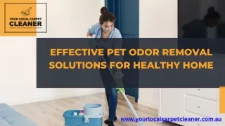 Effective Pet Odor Removal Solutions for Healthy Home