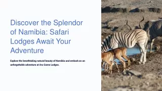 Discover the Splendor of Namibia: Safari Lodges Await Your Adventure