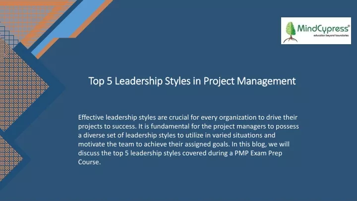 top 5 leadership styles in project management