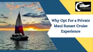 Why Opt For a Private Maui Sunset Cruise Experience