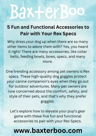 Enhance Your Canine's Adventures with Rex Specs for Dogs