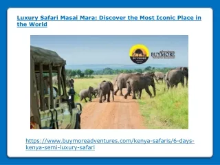 Luxury Safari Masai Mara - Discover the Most Iconic Place in the World