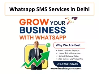 Whatsapp SMS Services in Delhi