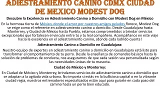 (01) adiestramiento canino cdmx ciudad de mexico modest dog (ppt)