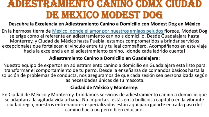 adiestramiento canino cdmx ciudad de mexico modest dog