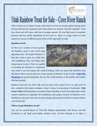 Utah Rainbow Trout for Sale – Cove River Ranch