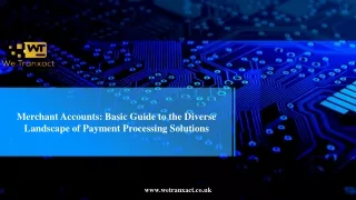Merchant Accounts Basic Guide to the Diverse Landscape of Payment Processing Solutions