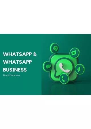 How to Use WhatsApp for Business